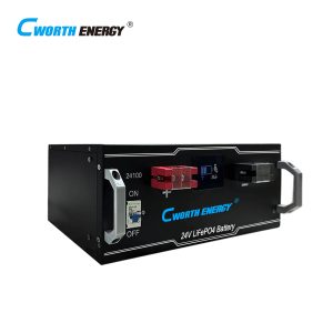 Cworth 2.56kWh LiFePO₄ Battery - LBT‑24100C